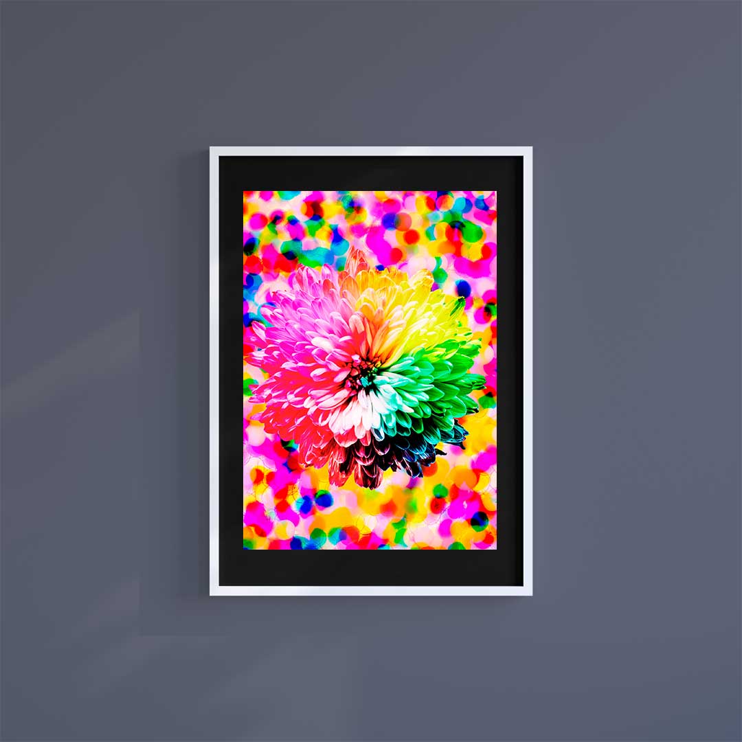 Large (A2) 16.5" x 23.4" inc Mount-Black-Autumn Flowers - Wall Art Print-Famous Rebel