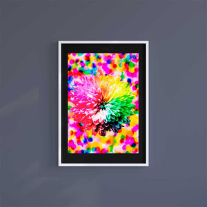 Large (A2) 16.5" x 23.4" inc Mount-Black-Autumn Flowers - Wall Art Print-Famous Rebel