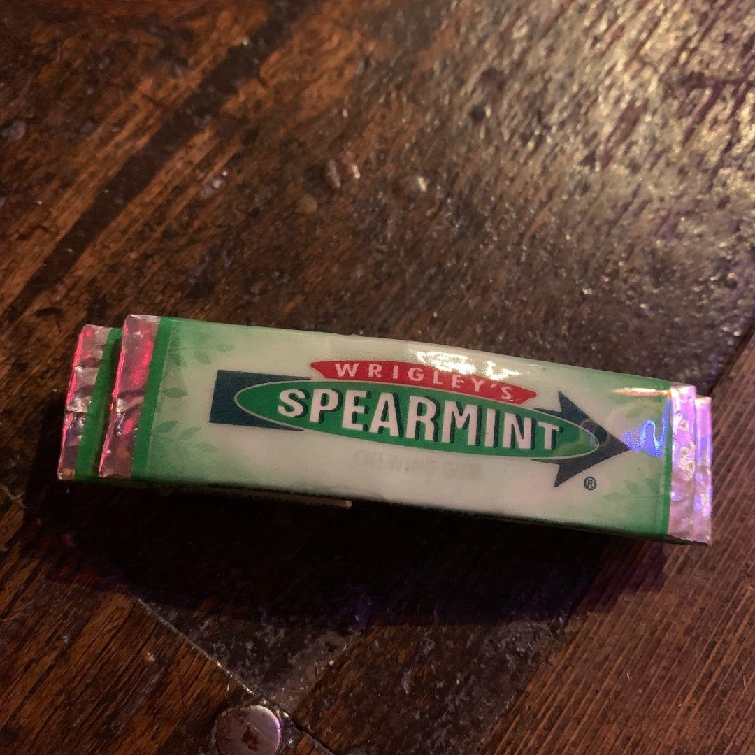 Spearmint Hair Clip-Joe Cool-Famous Rebel