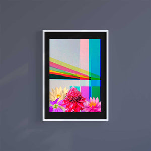 Medium (A3) 11.75" x 16.5" inc Mount-Black-Summer Flowers - Wall Art Print-Famous Rebel